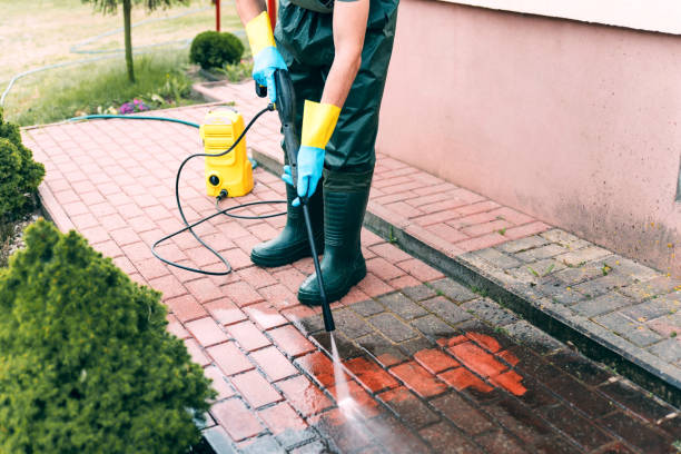 Best Roof Power Washing Services  in Scotts Hill, TN